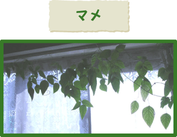 2006.8.24.gif