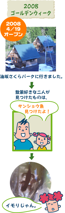 2008.5.5.gif