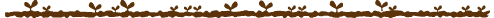 bunborder.gif